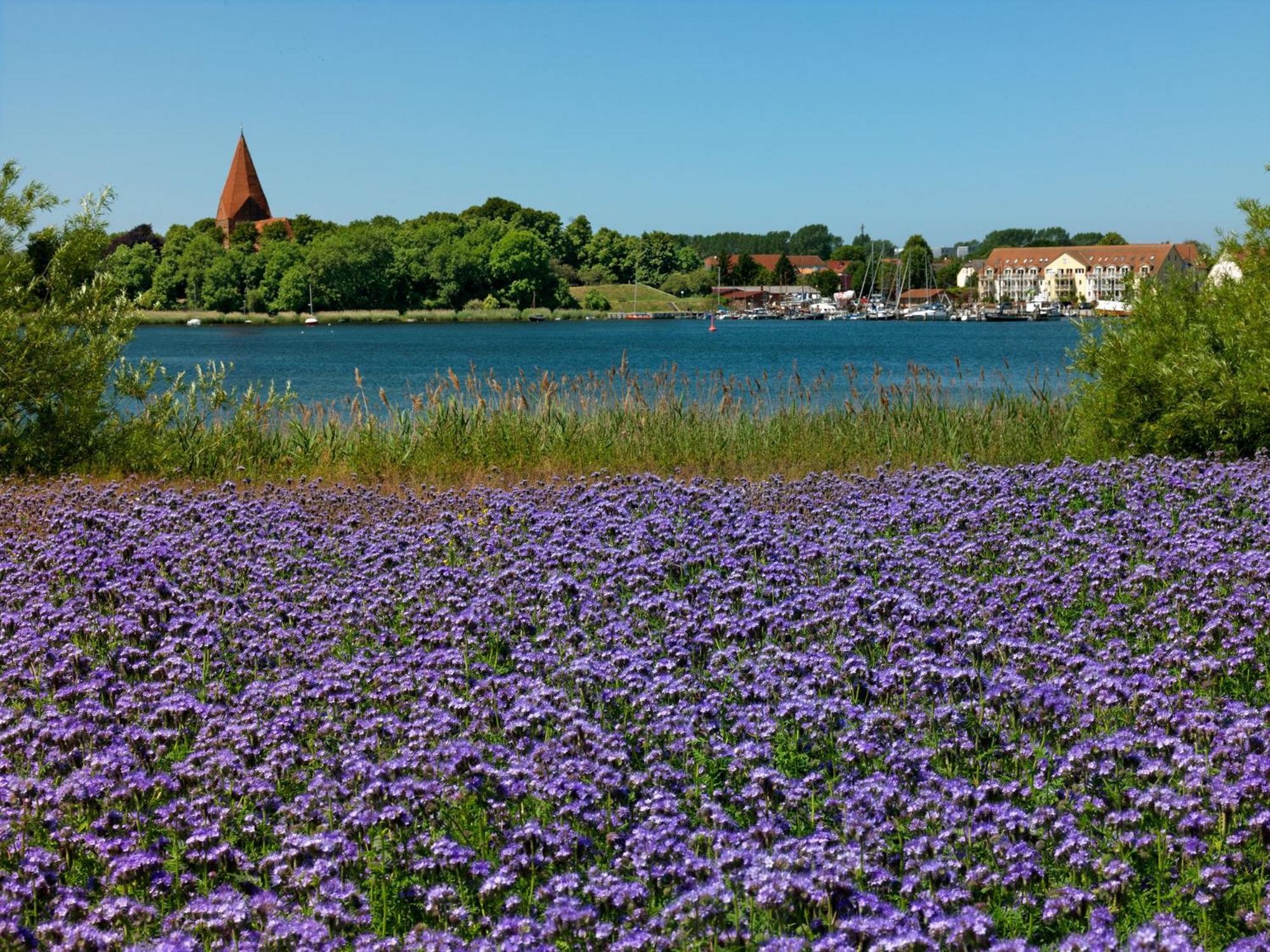 Daenisches Ferienhaus Kaltenhof Kültér fotó